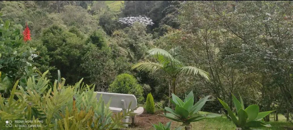 Jardín y banca de la finca